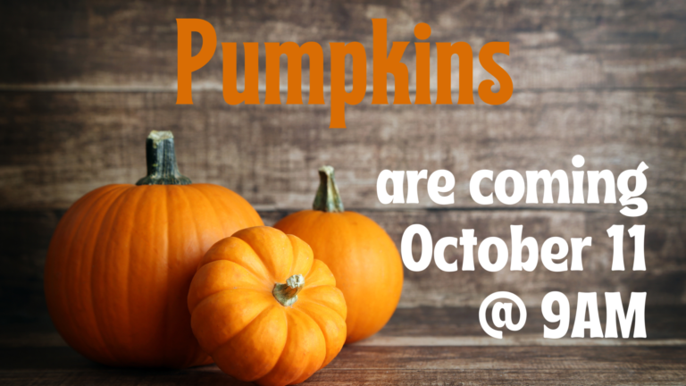 Pumpkins are coming!